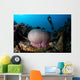 Diver Hovers above Magnificent Wall Decal Design 1