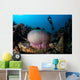 Diver Hovers above Magnificent Wall Decal Design 1