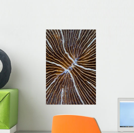 Detail Mushroom Coral Reef Wall Decal Design 1