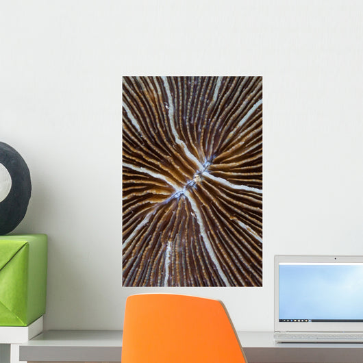 Detail Mushroom Coral Reef Wall Decal Design 1