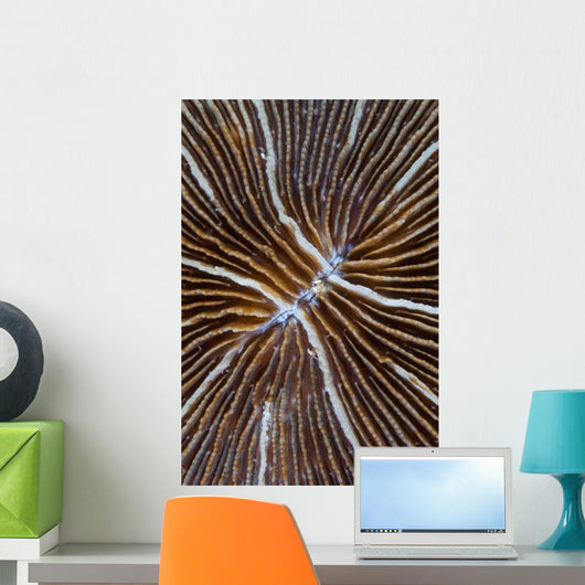Detail Mushroom Coral Reef Wall Decal Design 1