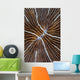 Detail Mushroom Coral Reef Wall Decal Design 1