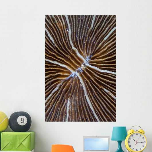 Detail Mushroom Coral Reef Wall Decal Design 1