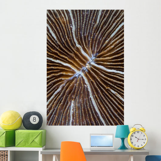 Detail Mushroom Coral Reef Wall Decal Design 1