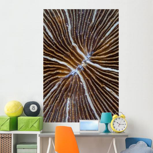 Detail Mushroom Coral Reef Wall Decal Design 1