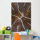 Detail Mushroom Coral Reef Wall Decal Design 1