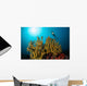 Diver Hovers above Coral Wall Decal