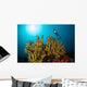 Diver Hovers above Coral Wall Decal