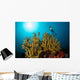 Diver Hovers above Coral Wall Decal