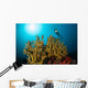 Diver Hovers above Coral Wall Decal
