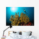 Diver Hovers above Coral Wall Decal