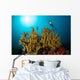 Diver Hovers above Coral Wall Decal