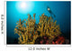 Diver Hovers above Coral Wall Decal