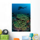 Diver Swims above Healthy Wall Decal Design 2