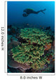Diver Swims above Healthy Wall Decal Design 2