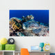 Large Green Sea Turtle Wall Decal