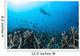 Diver Swims above Healthy Wall Decal Design 1