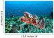 Venomous Scorpionfish Coral Reef Wall Decal Design 2