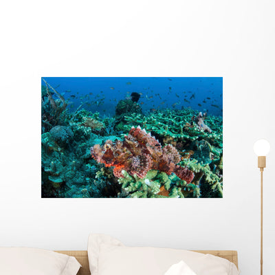 Venomous Scorpionfish Coral Reef Wall Decal Design 1 shown on a wall