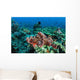 Venomous Scorpionfish Coral Reef Wall Decal Design 1