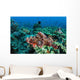 Venomous Scorpionfish Coral Reef Wall Decal Design 1
