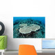 New Table Corals Grow Wall Decal Design 2
