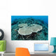 New Table Corals Grow Wall Decal Design 2