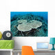 New Table Corals Grow Wall Decal Design 2