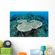 New Table Corals Grow Wall Decal Design 2