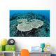 New Table Corals Grow Wall Decal Design 2