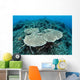 New Table Corals Grow Wall Decal Design 2