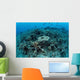 New Table Corals Grow Wall Decal Design 1