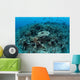 New Table Corals Grow Wall Decal Design 1
