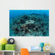 New Table Corals Grow Wall Decal Design 1