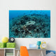New Table Corals Grow Wall Decal Design 1