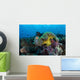 Pink Anemonefish Swims near Wall Decal Design 6