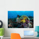 Pink Anemonefish Swims near Wall Decal Design 6