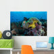 Pink Anemonefish Swims near Wall Decal Design 6
