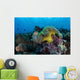 Pink Anemonefish Swims near Wall Decal Design 6