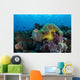 Pink Anemonefish Swims near Wall Decal Design 6