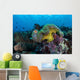 Pink Anemonefish Swims near Wall Decal Design 6