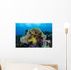 Pink Anemonefish Swims near Wall Decal Design 5