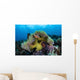Pink Anemonefish Swims near Wall Decal Design 5