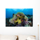 Pink Anemonefish Swims near Wall Decal Design 5