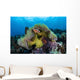 Pink Anemonefish Swims near Wall Decal Design 5
