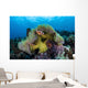 Pink Anemonefish Swims near Wall Decal Design 5