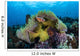 Pink Anemonefish Swims near Wall Decal Design 5