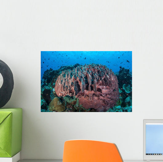 Massive Barrel Sponge Grows Wall Decal