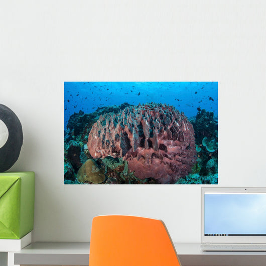 Massive Barrel Sponge Grows Wall Decal