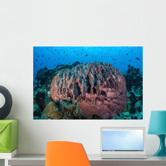 Massive Barrel Sponge Grows Wall Decal